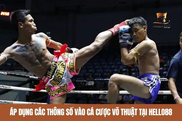 Áp dụng cách đọc thông số võ sĩ khi cá cược võ thuật tại hello88