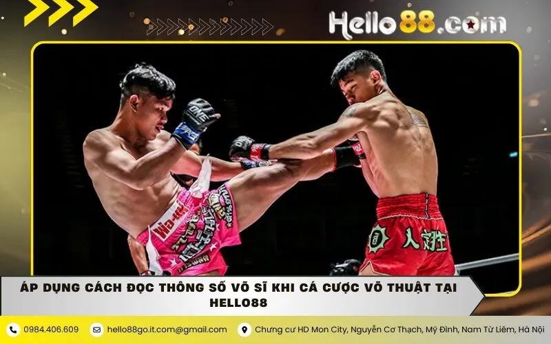 Áp dụng cách đọc thông số võ sĩ khi cá cược võ thuật tại hello88