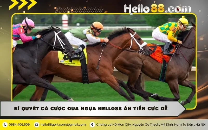 Bí Quyết Cá Cược Đua Ngựa Hello88 Ăn Tiền Cực Dễ
