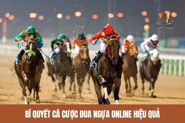 Bí quyết cá cược đua ngựa online hiệu quả