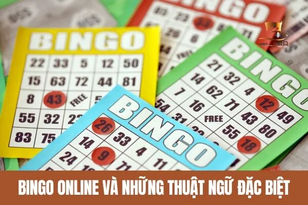 Bingo online và những thuật ngữ đặc biệt