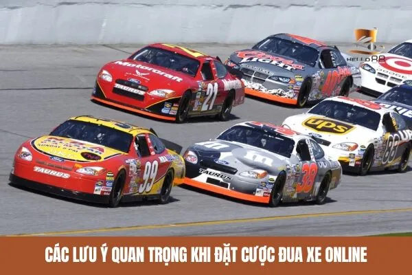 Các lưu ý quan trọng khi đặt cược đua xe online