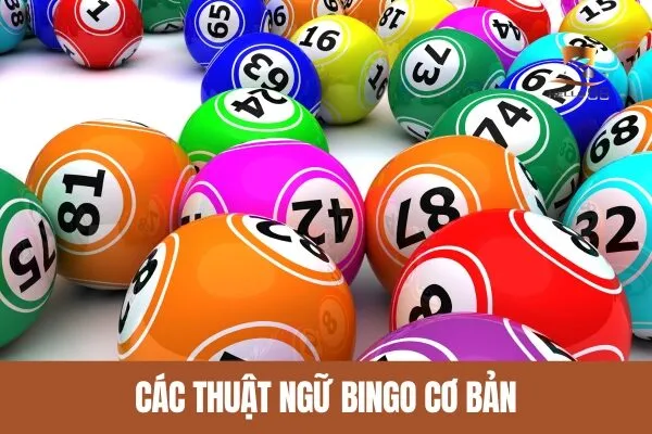 Các thuật ngữ Bingo cơ bản