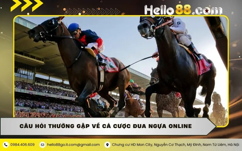 Câu hỏi thường gặp về cá cược đua ngựa online
