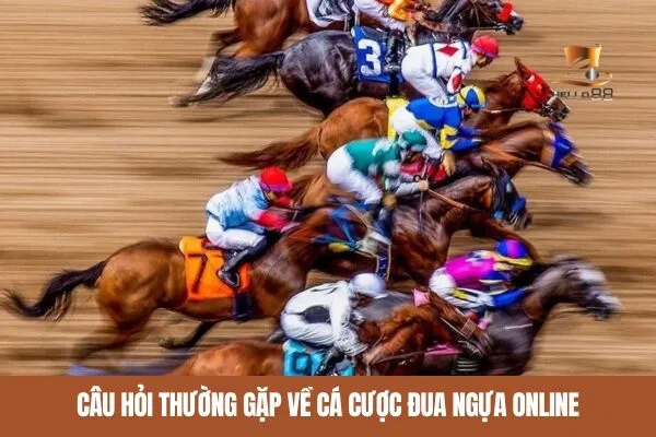 Câu hỏi thường gặp về cá cược đua ngựa online
