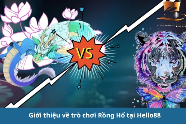 Chiến thuật chơi Bài Rồng Hổ trên hello88 hiệu quả - Tăng tỷ lệ thắng