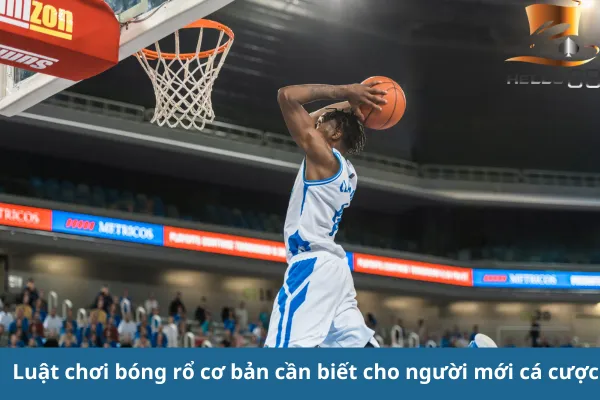 Hướng dẫn cơ bản cho người chơi mới cá cược bóng rổ trên hello88