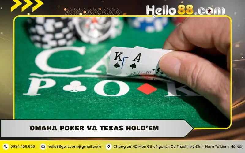 So Sánh Omaha Poker Và Texas Hold’em Chi Tiết Nhất