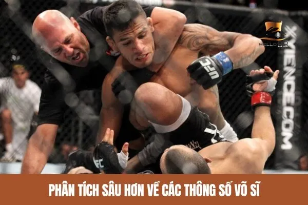 Phân tích sâu hơn về các thông số võ sĩ