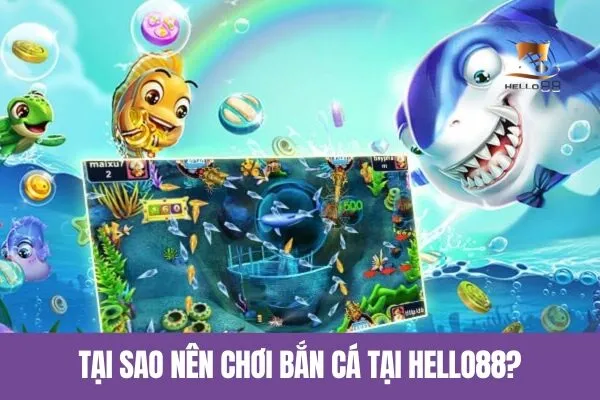 Tại sao nên chơi bắn cá tại Hello88