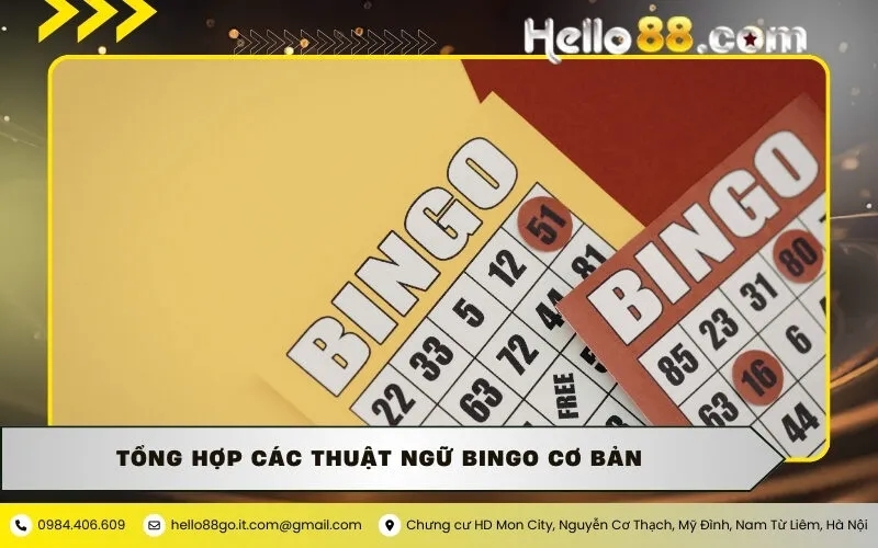 Tổng Hợp Các Thuật Ngữ Bingo Cơ Bản Cho Người Mới