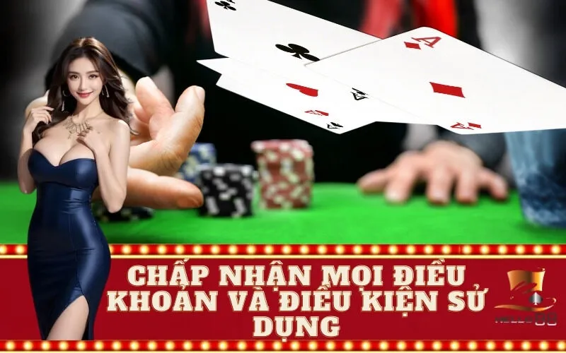 Chấp nhận mọi điều khoản và điều kiện sử dụng