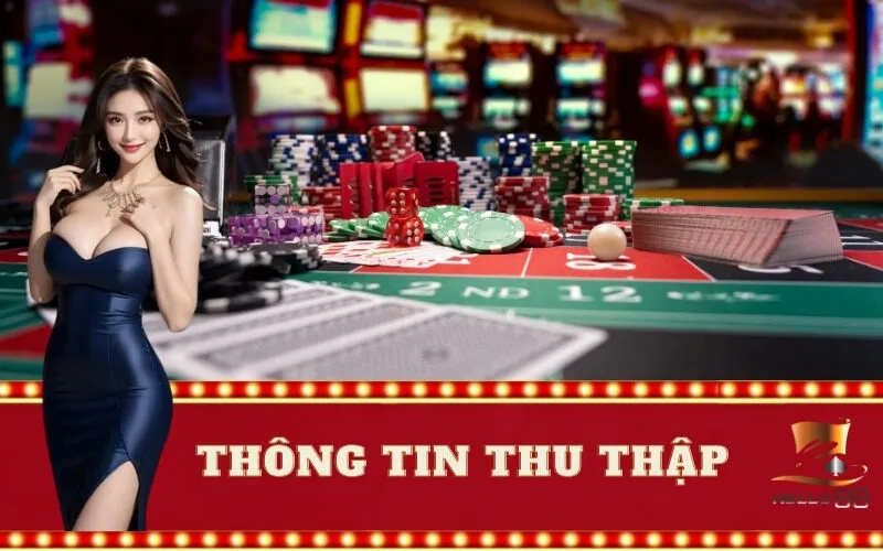 Thông Tin Thu Thập